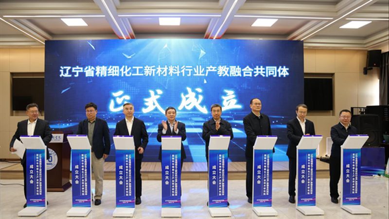 造纸化学助剂：揭秘其价格背后的因素**